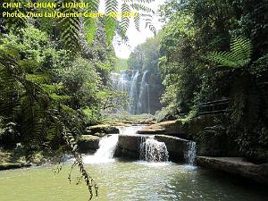 Luzhou 080